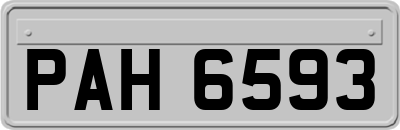 PAH6593