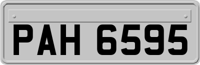 PAH6595