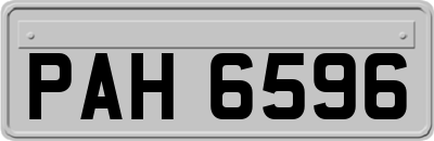 PAH6596