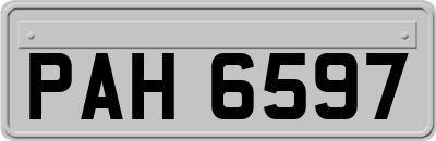 PAH6597