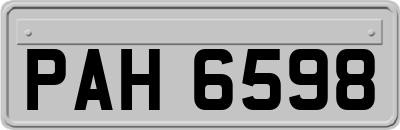 PAH6598