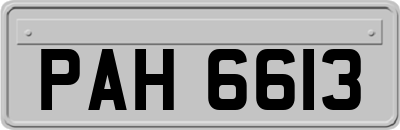 PAH6613