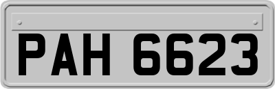 PAH6623