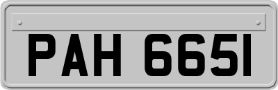 PAH6651