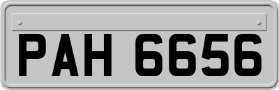 PAH6656