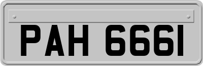 PAH6661