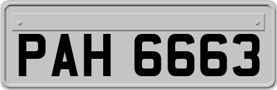 PAH6663