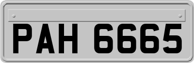 PAH6665