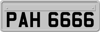 PAH6666
