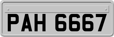 PAH6667
