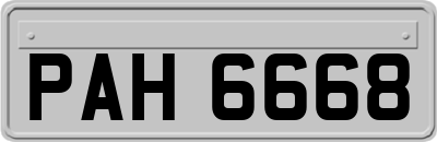 PAH6668