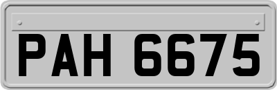 PAH6675