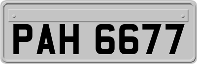 PAH6677