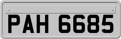 PAH6685