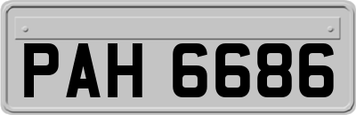PAH6686