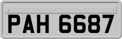 PAH6687