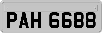 PAH6688