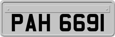 PAH6691