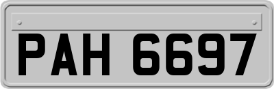 PAH6697