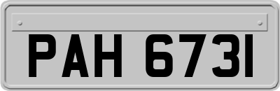 PAH6731