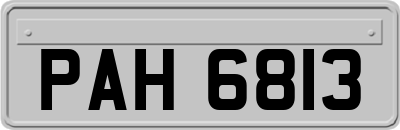 PAH6813