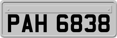 PAH6838