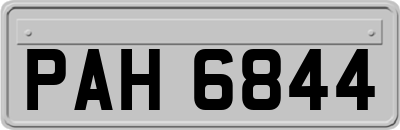 PAH6844