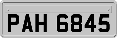 PAH6845
