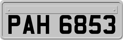 PAH6853