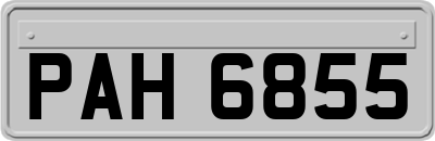 PAH6855