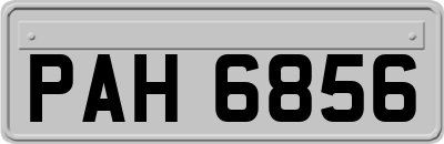 PAH6856