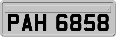 PAH6858