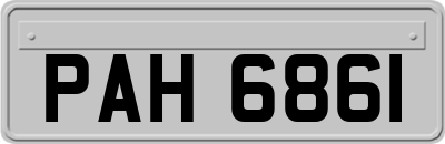 PAH6861