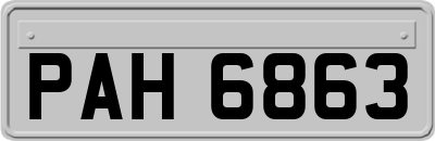 PAH6863