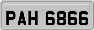 PAH6866