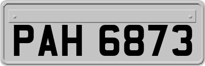 PAH6873