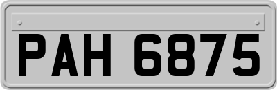 PAH6875