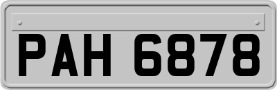 PAH6878