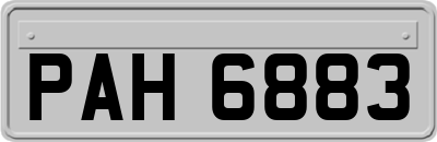 PAH6883