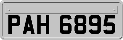 PAH6895