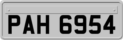 PAH6954