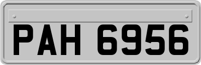 PAH6956