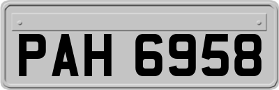 PAH6958