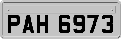 PAH6973