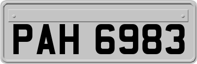 PAH6983