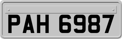 PAH6987