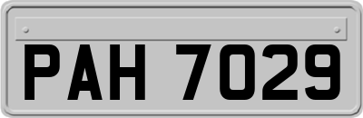 PAH7029