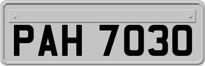 PAH7030
