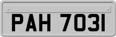 PAH7031