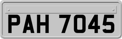 PAH7045